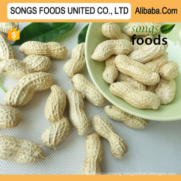 Original Shandong Peanut For Sale